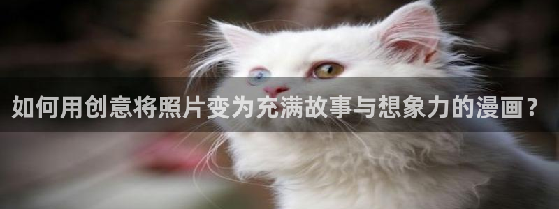 拷贝漫画是哪里的：如何用创意将照片变为充满故事与想象力的漫画？