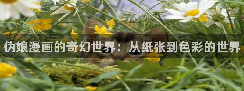 拷贝漫画免费下载安装