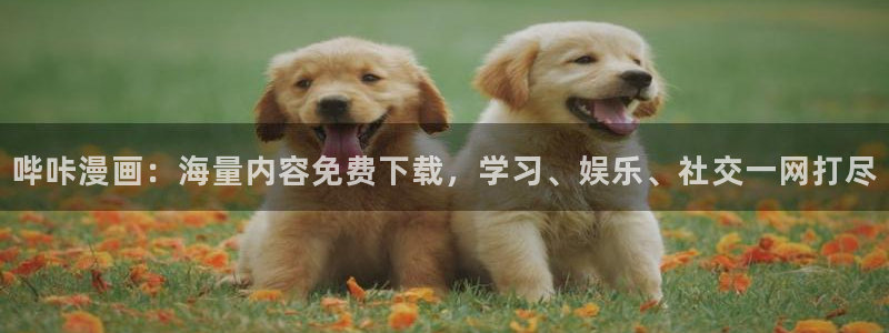 拷贝漫画的网站